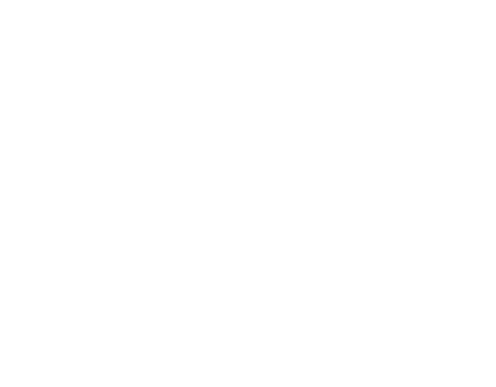Blackforest Vanlife